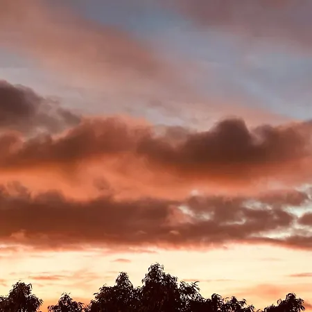 Lejlighed Escape To Paradise In Tenerife Costa Adeje (Tenerife)