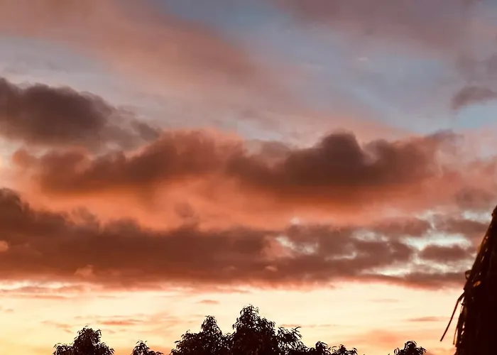 Lejlighed Escape To Paradise In Tenerife Costa Adeje (Tenerife)